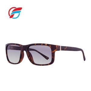 Eyewear Manufacturer OEM Shades Sunglasses for Men