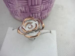 Fashion Stainless Steel Casting Jewelry Ring (RZ2940)