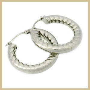 Stainless Steel Hoop Earring (TPSE163)