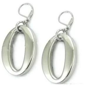Fashion Stainless Steel Earring (EQ8235)