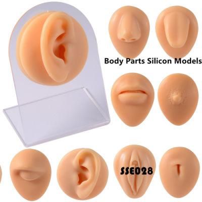 Skin Color Soft Display Model with Stents Faux Real Artificial Piercing Model Display Tool Piercing Jewelry