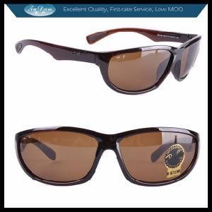 Brand Opitical Fashion Eyeglasses