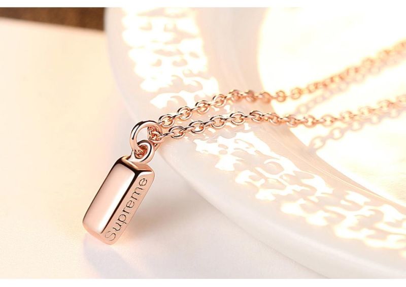 OEM Custom Fashion 925 Silver Jewelry Necklace with Super Charm