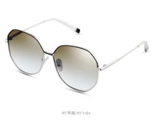 Fashion Firm Smooth Oversized Metal Frame PC Sunglass UV Protection