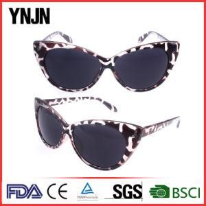 Bulk Buy China Plastic Novelty Cat Sunglasses for Ladies