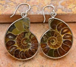 Earring Jewelry, Fashion Natural Fossil Earring, New Design Fashion Earring Jewelry (3354)