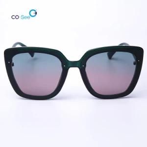 Trendy Modern Design PC Cat Eye Big Frame Luxury Oversize Sunglasses