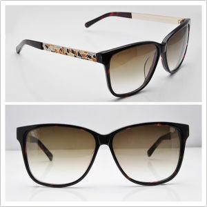 CH Sunglasses / Brand Name Sunglasses