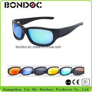 New Arrival Sunglasses Polarized Bamboo Sunglasses