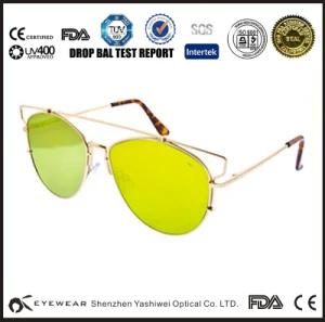Hot Selling Sunglass Polarized Sunglasses Brand