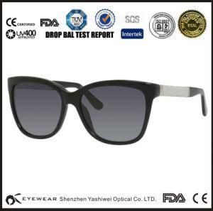 Acetate Frame with Metal Sun Glasses in China