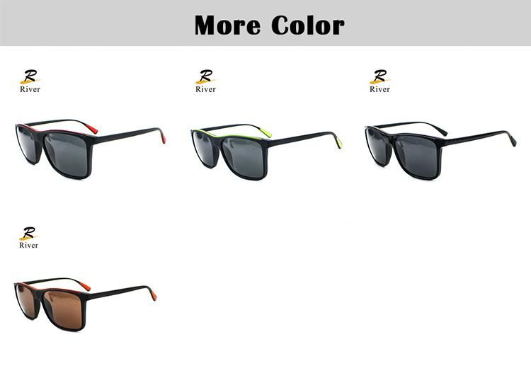 Hot Sale New Design Tr Frame Ready Polarized Men Sunglasses