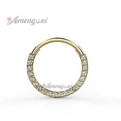2020 Latest Imported Surgical Stainless Steel Jewelry Body Jewelry Multi-Purpose Rings Ear Ring Lip Ring Segment Nose Ring