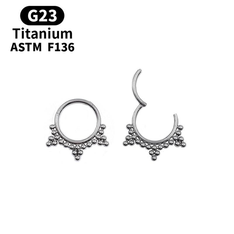 Titanium Daith Earring Hoop Solid G23 Cartilage Tragus Helix Rings 16g Titanium Septum Piercing Jewelry Hinged Segment Hoop with Clear CZ Paved