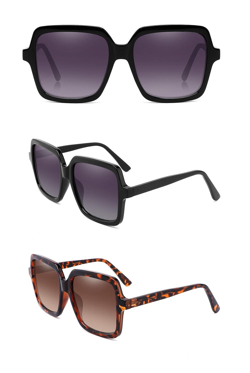 New Trend Big Frame Sun Glasses Retro Frame Temple Classic Best-Selling Oversize Sunglasses