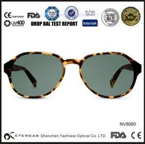 Wholesale Designer Sunglass Lenses, China Sunglass
