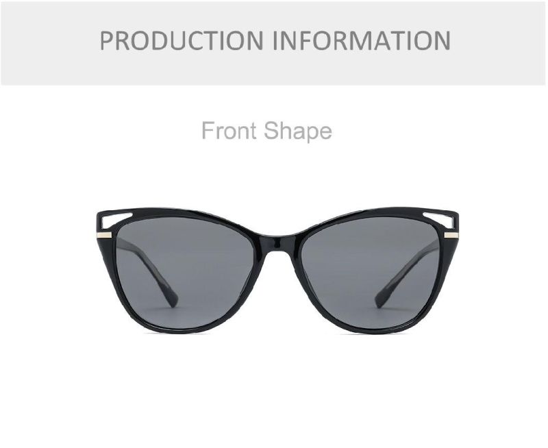 Custom Logo Fashion Vendors Women Polarized Cat Eyes Sunglasses