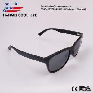 Classical Design PC Fashion Eyewear with Shiny Revo