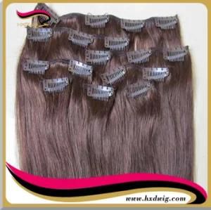 Clips on Human Hair Extension