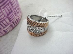 Fashion Stainless Steel Casting Jewelry Bling Ring (RZ2984)