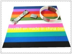 Silicon Wristband Bracelet with Buckle and Clasp (XXT 10018-45)