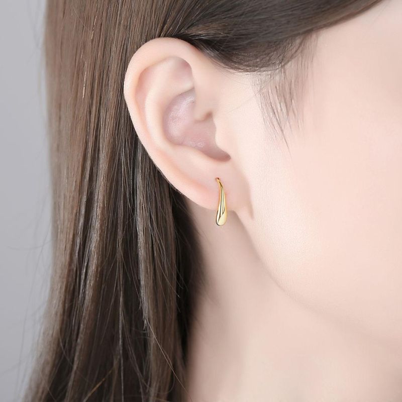 Exquisite Earrings 925 Sterling Silver Ear Stud for Women