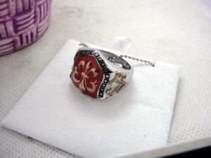 Fashion Stainless Steel Casting Jewelry Ring (RZ2939)