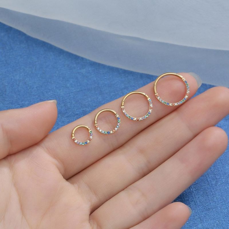 G23 Titanium Nose Rings Cartilage Earrings Tragus Helix Earrings Cartilage Earring Hinged Segment Rings Hoop Inlaid CZ Body Piercing Jewelry