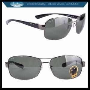 Top Sunglasses 2013 (03379)