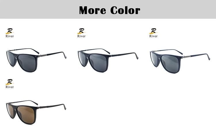 P0103 New Design Tr Frame Wholesale Polarized Men Sunglasses