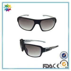 Newest Promotional Fashion Brand Sunglasses for Men