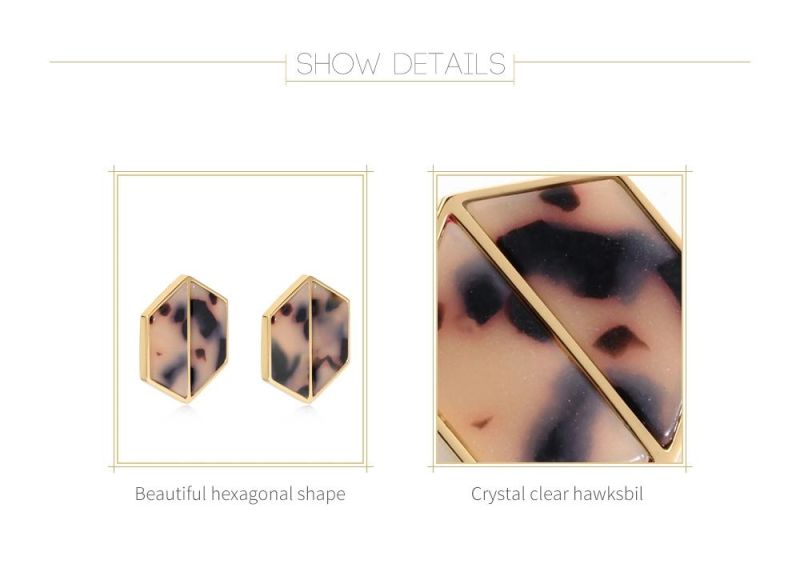 Crystal Clear Hawksbil Stainless Steel Earrings in Hexagonal Shape