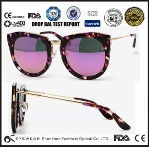 High Quality Latest Metal Sunglasses