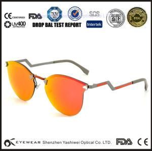 Own Brand Sunglasses, Hinge Wood Sunglasses, Sunglasses Ray Band
