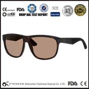 Top Quality Ray Band Acetate Sunglasses