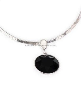 Fashion Jewellery Necklace (HN1A645)