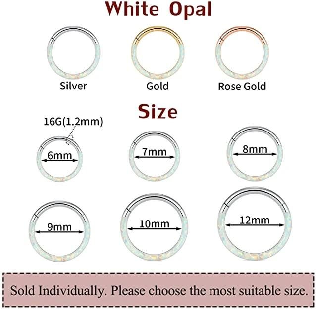 ASTM F136 Titanium Setting Opal Hinged Segment Ring Body Piercing Jewelry