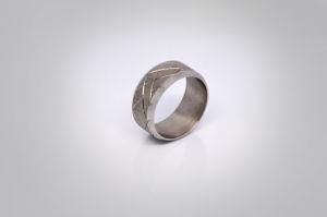 Stainless Steel Ring Jewelry (RZ6066)