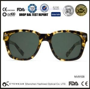 Wholesale Discount Design for Sunglasses Shop