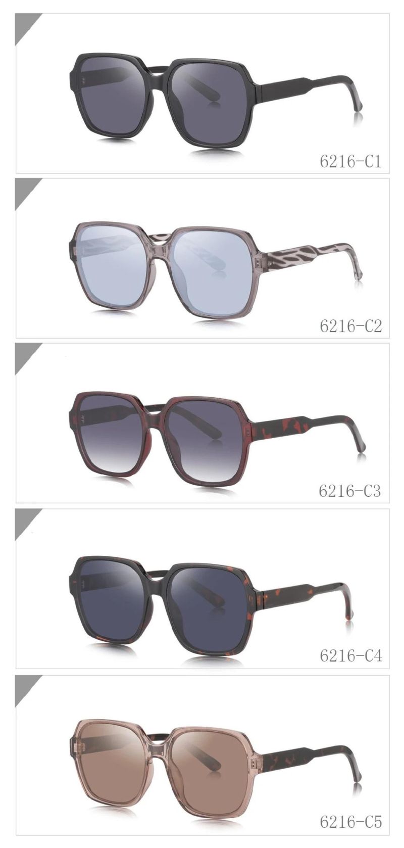 2020 New Design Trendy Popular Comfortable Tr90 Sunglasses for Women