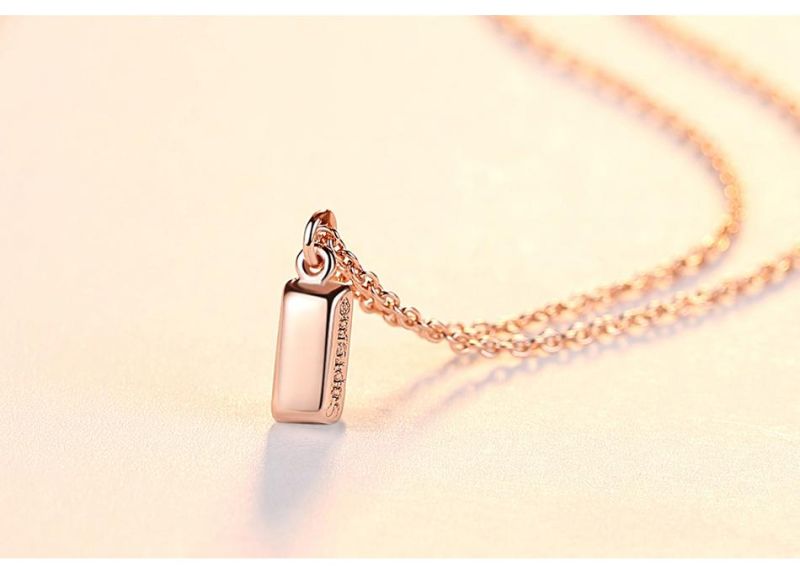 OEM Custom Fashion 925 Silver Jewelry Necklace with Super Charm