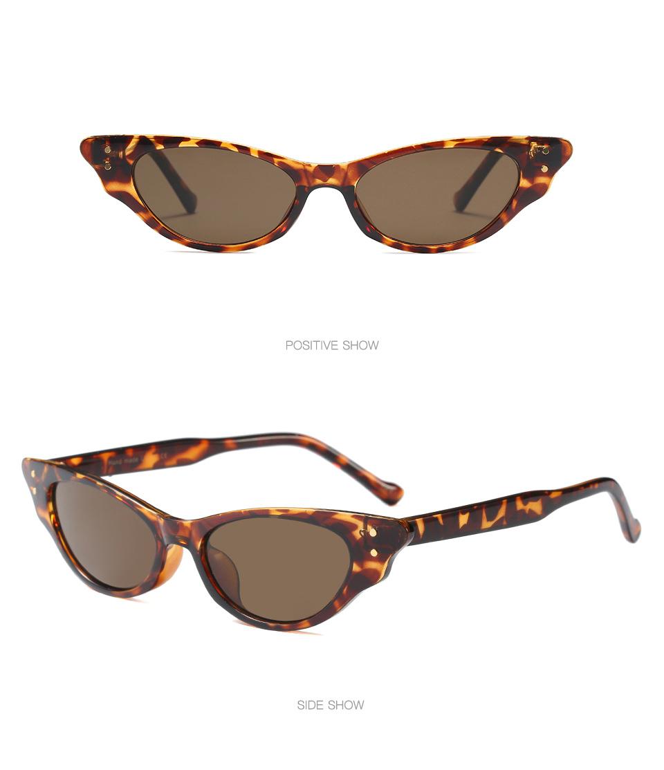 Trend Cat-Eye Sunglasses, Street Shooting Colorful Personalized Sunglasses