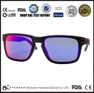 Acetate Glass Frames Sunglasses, New Arrival Cool Designer Sunwear