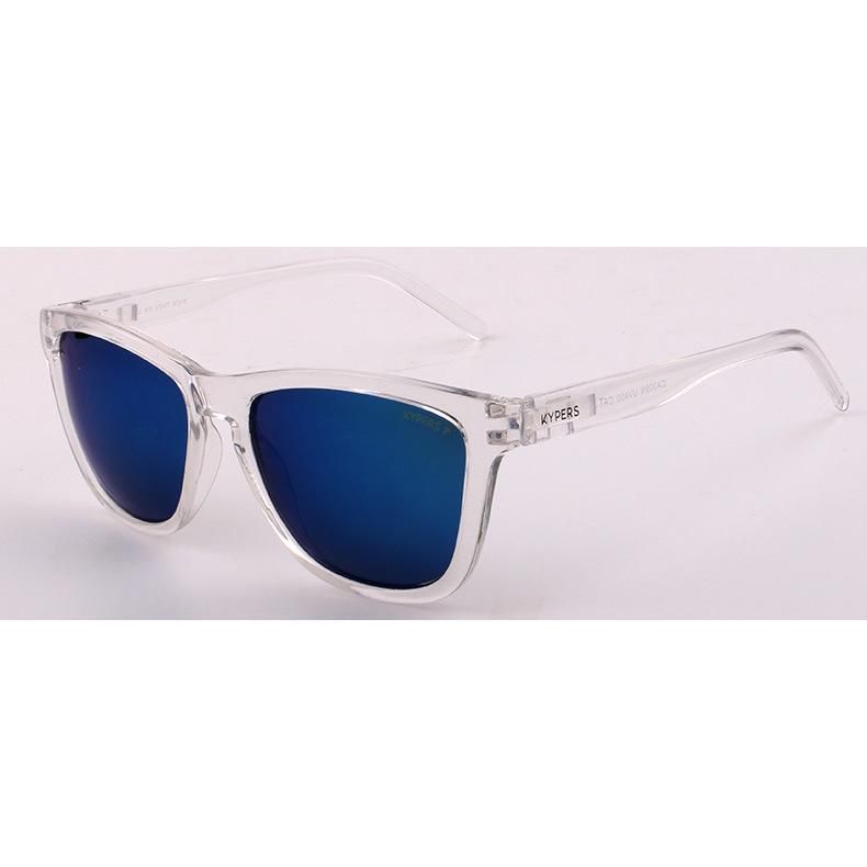 Change Temple PC Frame Europ Design Sunglass