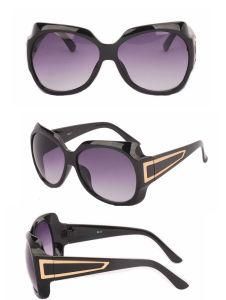 Popular Women Sunglasses (M6017)