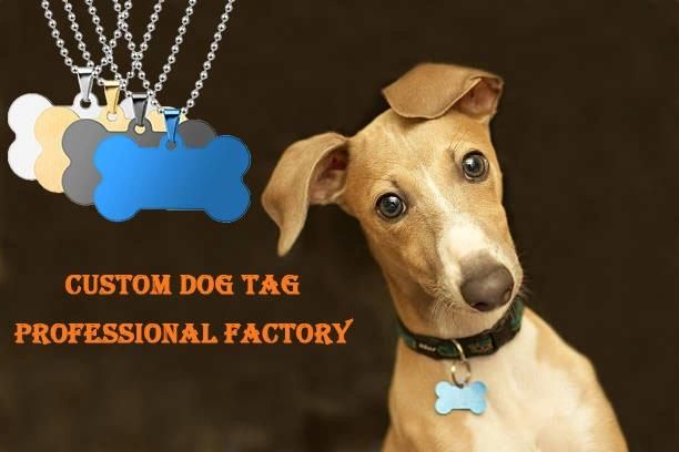 Wholesale Customize Logo Promotional Gift Metal and Silicone Dog Tag