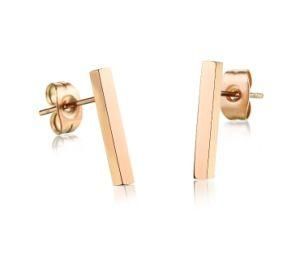 Luxury Brand Fashion Women&prime;s Stainless Steel Rectangle Earrings Punk Female Rose Gold Stud Earring Jewellery Gift
