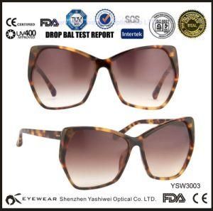 Big Frame Butterfly Womens Sunglasses Ysw3003