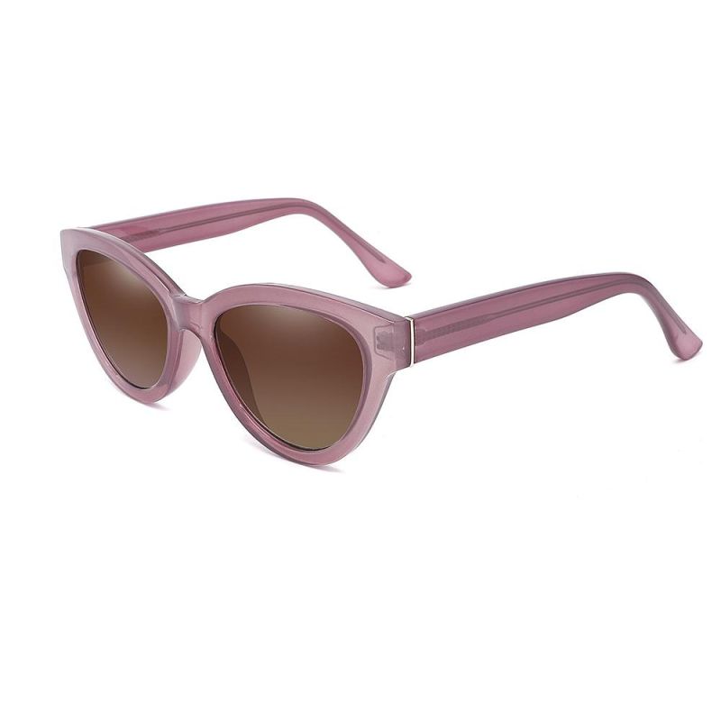 New Arrival Sunglasses Vintage Big Frame Cat Eye Fashion Sun Glasses