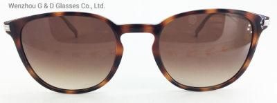 High Quality Model China Factory Wholesale Acetate Frame Sunglasses